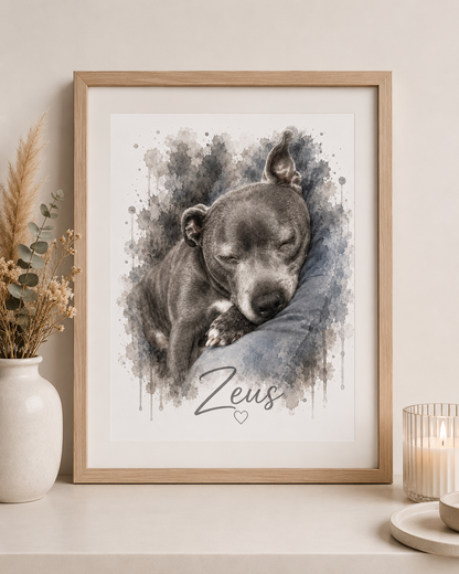 Pet portrait